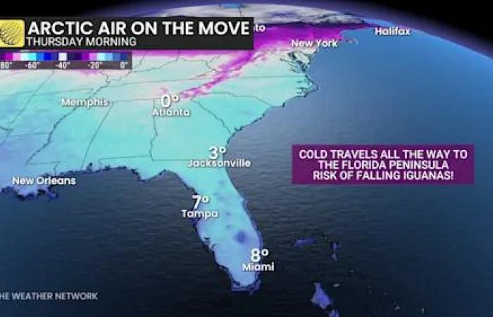 Coldest
      New
      Year's
      Day
      in
      over
      a
      decade
      expected
      in
      parts
      of
      Canada