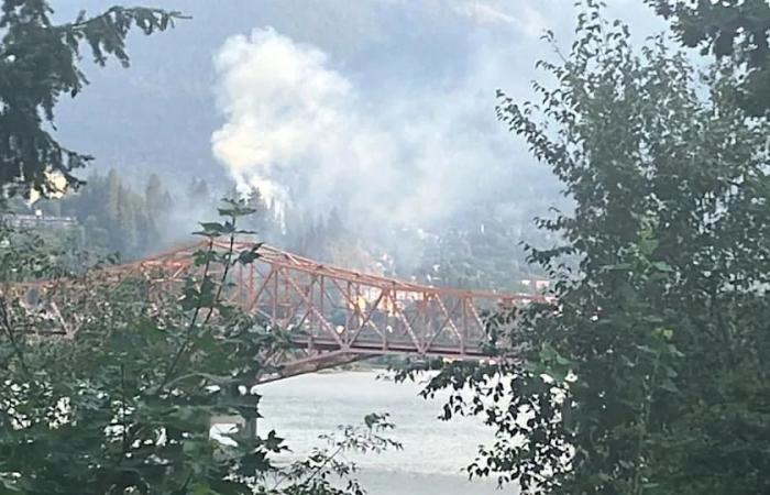 Man
      banned
      from
      Nelson,
      B.C.,
      sentenced
      for
      arson
      during
      heat
      of
      2024
      wildfire
      season