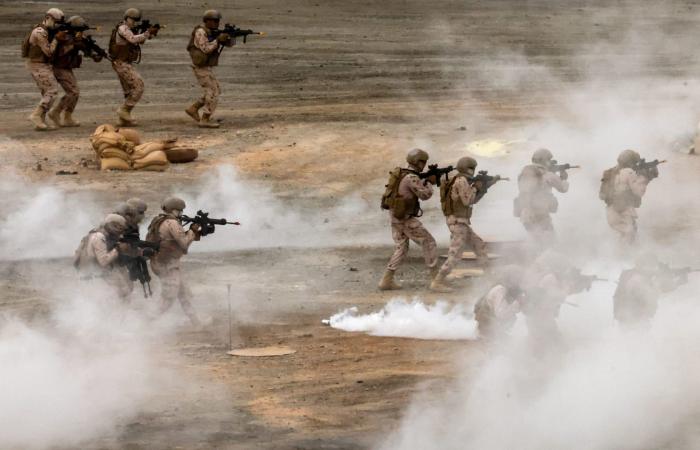 وزارة الدفاع الإماراتية تعلن إنهاء تواجد "ما تبقى من فرقها لمكافحة الإرهاب" باليمن