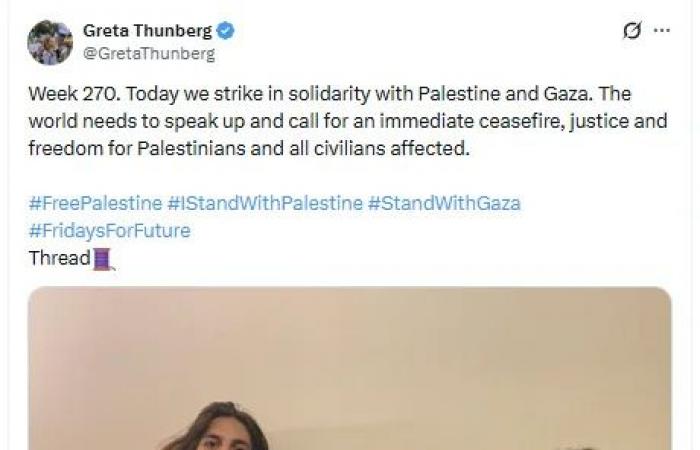 Terry
      Newman:
      Greta's
      journey
      from
      child
      climate
      activist
      to
      terrorist
      mascot