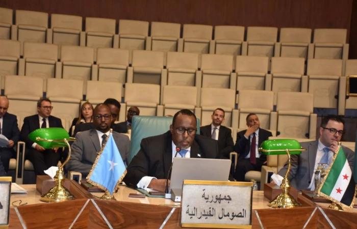 سفير
      الصومال
      بالاتحاد
      الأفريقي
      لـ«الشرق
      الأوسط»:
      نتشاور
      مع
      الحلفاء
      للدفاع
      عن
      وحدة
      البلاد