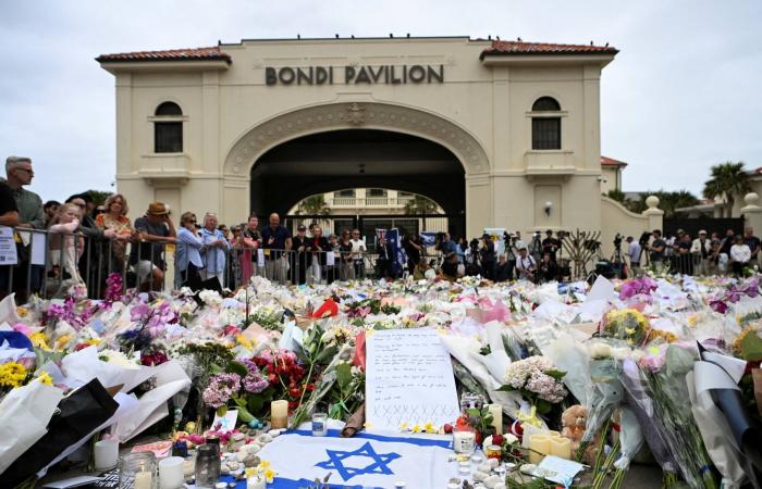 زيادة
      الوجود
      الأمني
      في
      سيدني
      خلال
      احتفالات
      رأس
      السنة
      بعد
      الهجوم
      على
      شاطئ
      بونداي