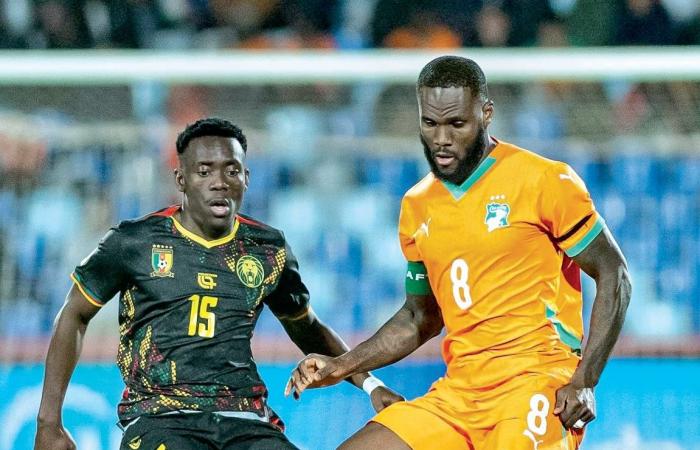 بطولة كأس أمم أفريقيا.. الأفيال والأسود غير المروضة لحسم الصدارة