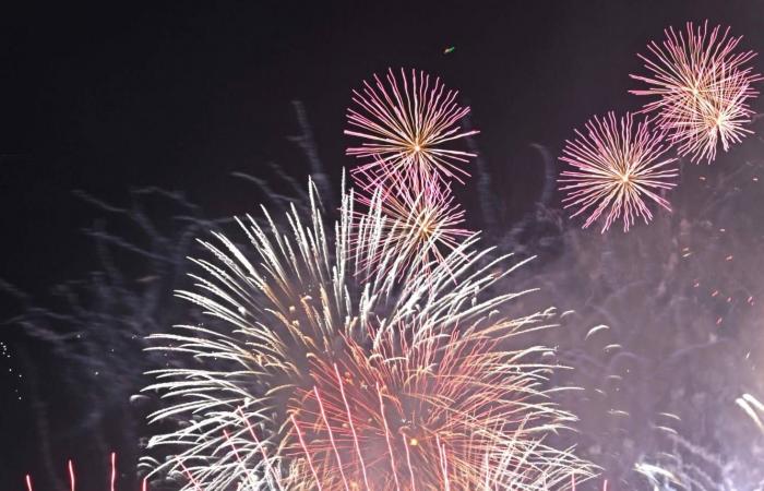 سيدني
      تستقبل
      العام
      الجديد
      وسط
      حداد
      على
      ضحايا
      هجوم
      بونداي