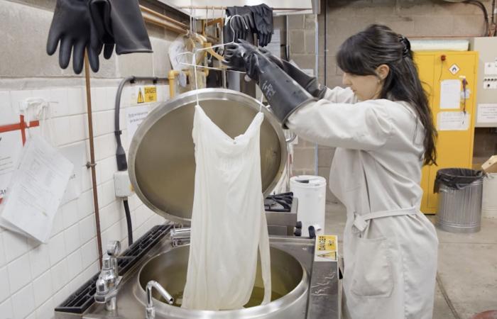 ألوان جديدة لفستانك الأبيض.. خطوة جريئة بعد الزفاف