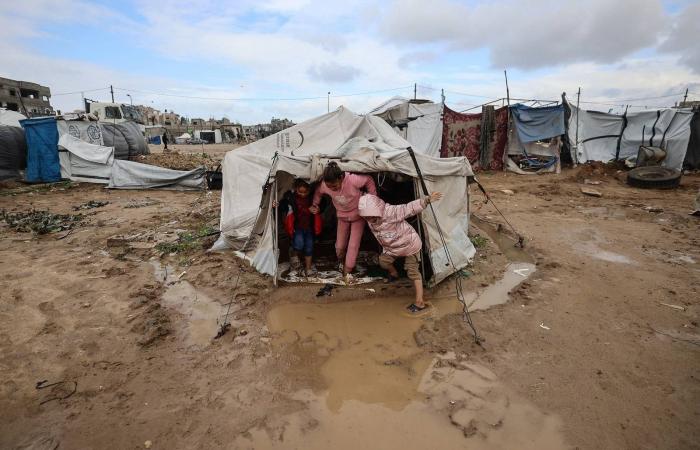 استعجال
      نزع
      سلاح
      «حماس»
      يعرقل
      جهود
      استكمال
      «اتفاق
      غزة»