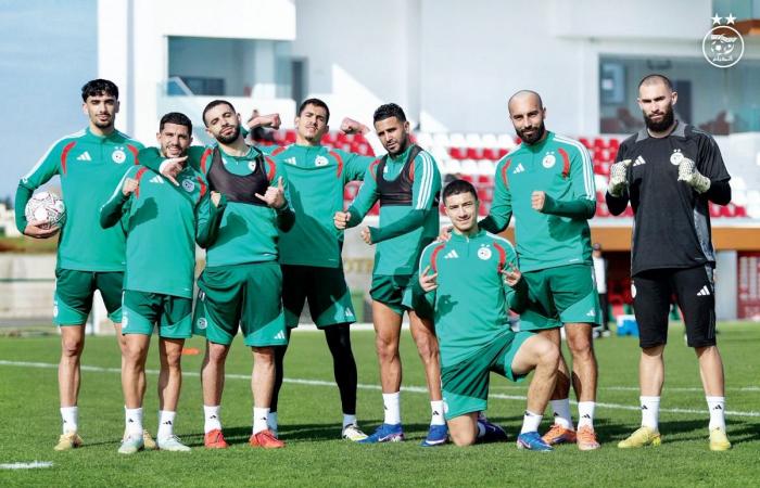 بطولة كأس أمم أفريقيا.. اختبار صعب للمنتخب الجزائري أمام الكونغو