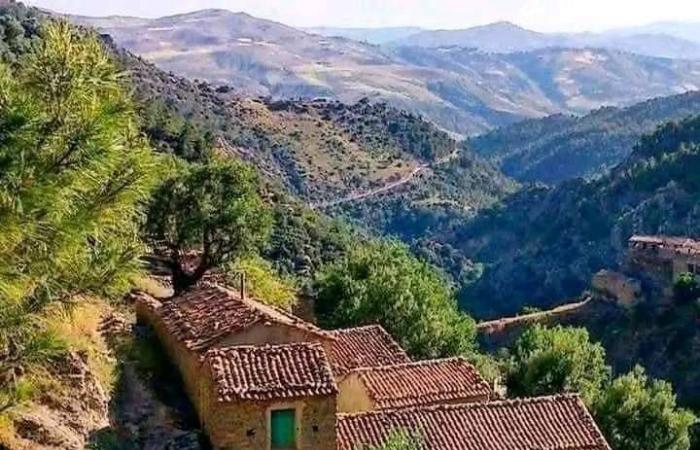 حكومة
      حماد
      تعلن
      إطلاق
      سراح
      الليبيين
      المحتجزين
      في
      تشاد