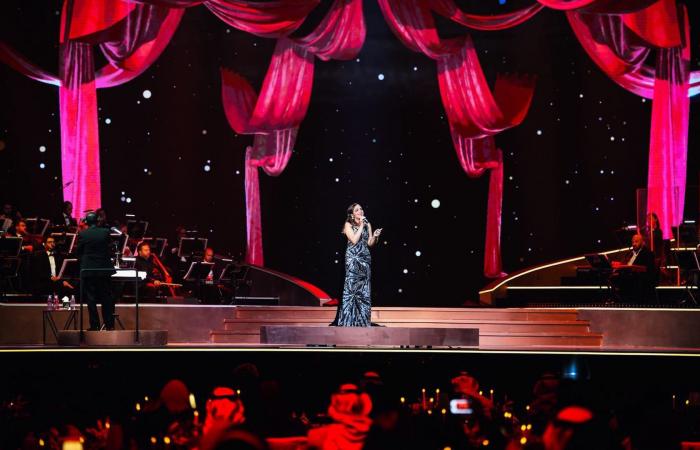 تركي آل الشيخ يشارك "أجواءًا طربية" من حفل أنغام في رأس السنة