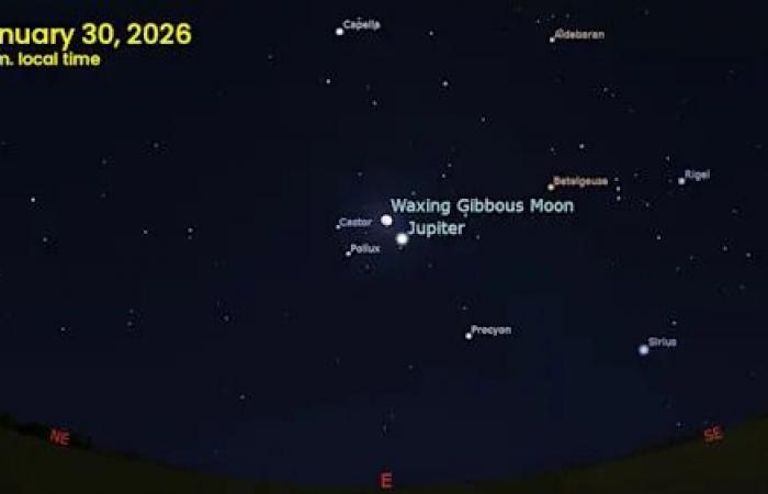 Start
      your
      January
      with
      a
      supermoon
      and
      the
      best
      winter
      meteor
      shower