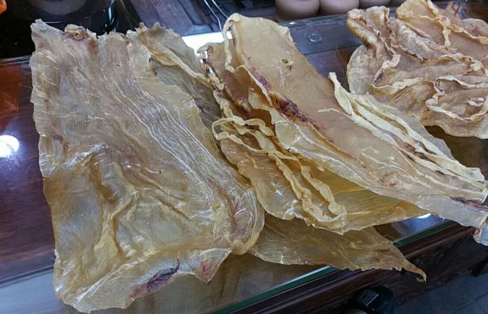 أقل من عشرة.. هذا النوع من خنازير البحر ينقرض فهل يمكن إنقاذه؟