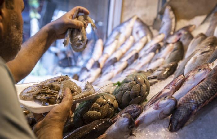 مصر.. ارتفاع أسعار الأسماك يثير تساؤلات حول "مكاسب" التجار و"فاعلية" الرقابة