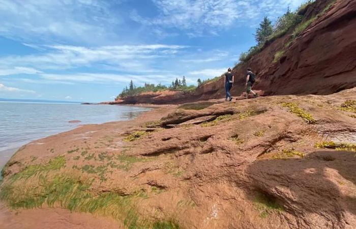 No
      immediate
      plans
      to
      test
      whether
      Tasiujaq,
      Que.,
      has
      higher
      tides
      than
      the
      Bay
      of
      Fundy