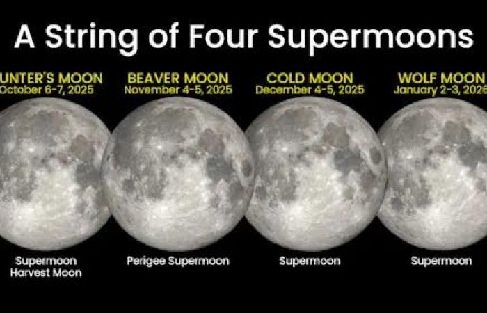 Start
      your
      January
      with
      a
      supermoon
      and
      the
      best
      winter
      meteor
      shower