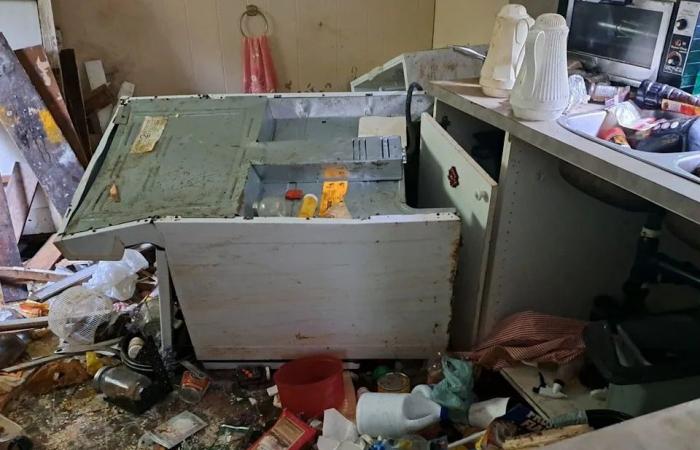 Woman
      tells
      of
      grizzly's
      violent
      assault
      on
      her
      home
      in
      community
      where
      bear
      attacked
      20
      schoolchildren