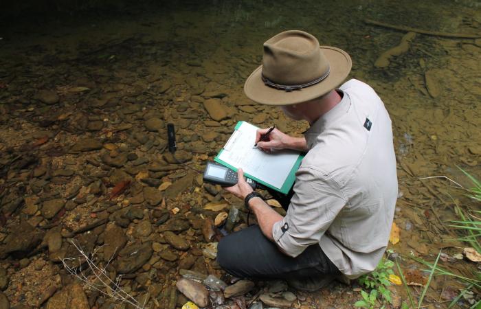 موطنها الوحيد نهر في أستراليا.. باحثون في سباق مع الزمن لإنقاذ هذه السمكة التاريخية