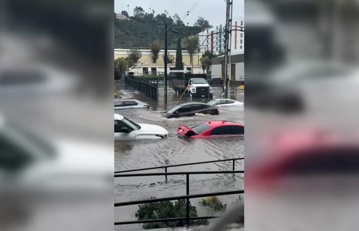 بسبب أمطار كثيفة.. فيضانات تغمر المركبات بشكل شبه تام في سان دييغو