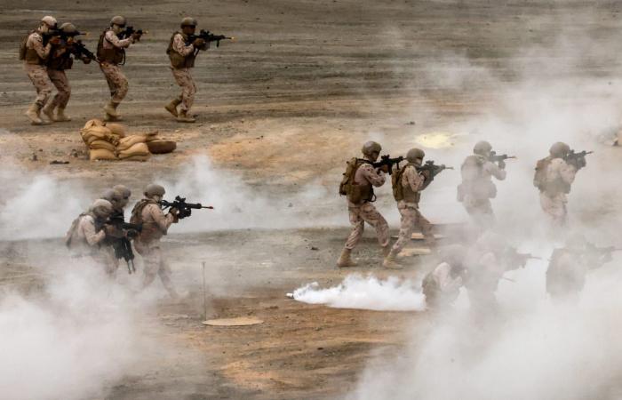 "استكمال عودة جميع العناصر".. الإمارات تصدر بيانًا عن قواتها في اليمن