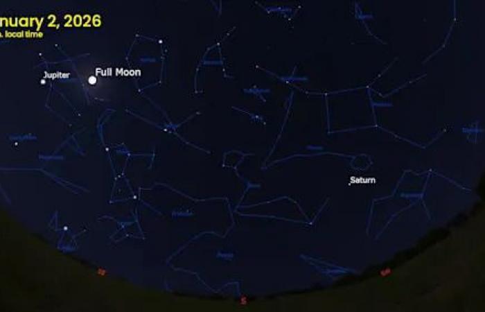 Look
      up!
      The
      Full
      Wolf
      Supermoon
      shines
      in
      the
      sky
      tonight!