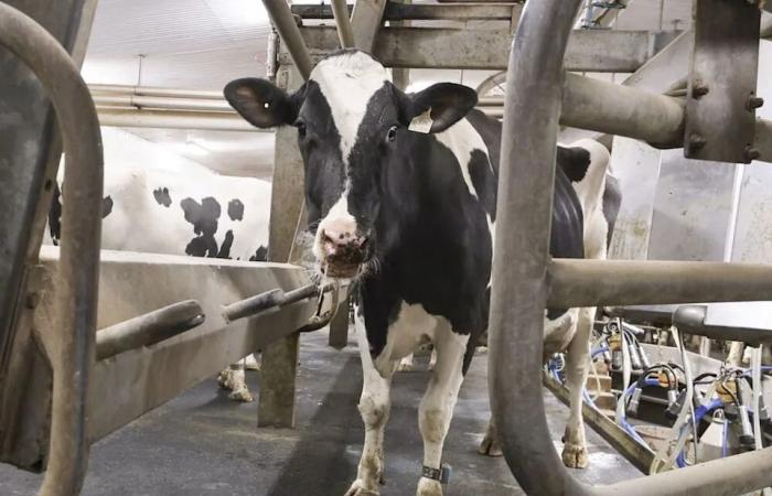 How
      Canada
      can
      get
      more
      leverage
      on
      Trump
      in
      2026