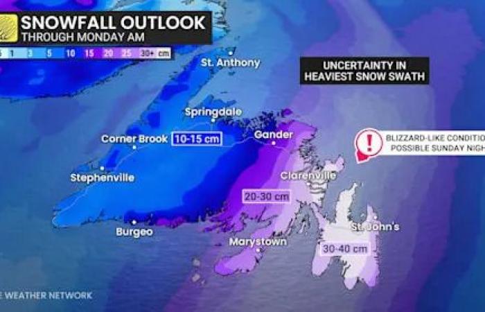Newfoundland's
      snowy
      stretch
      continues
      as
      another
      weekend
      storm
      approaches