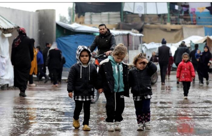 53 منظمة دولية تحذر من إجراءات الاحتلال لوقف المساعدات الإنسانية في غزة