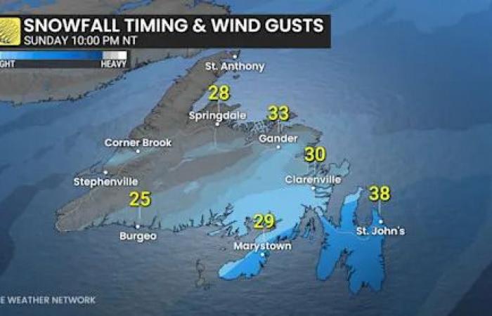 Newfoundland's
      snowy
      stretch
      continues
      as
      another
      weekend
      storm
      approaches
