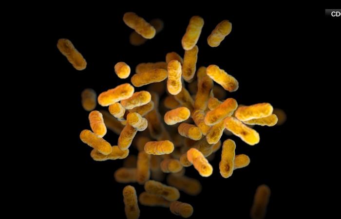 للعام الثاني على التوالي تتجاوز أمريكا حاجز 25 ألف إصابة بالسعال الديكي.. لماذا؟