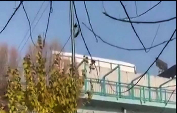 احتجاجات
      إيران
      تدخل
      يومها
      التاسع...
      والقبضة
      الأمنية
      تتصاعد