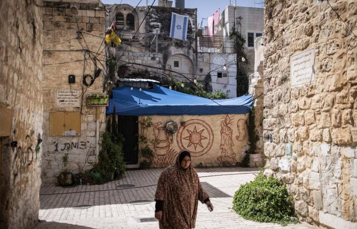 رئيس
      «النواب
      الليبي»:
      رفْض
      فرنسا
      وتحفُّظ
      ألمانيا
      على
      تحليل
      الصندوق
      الأسود
      لطائرة
      الحداد
      «محيِّران»