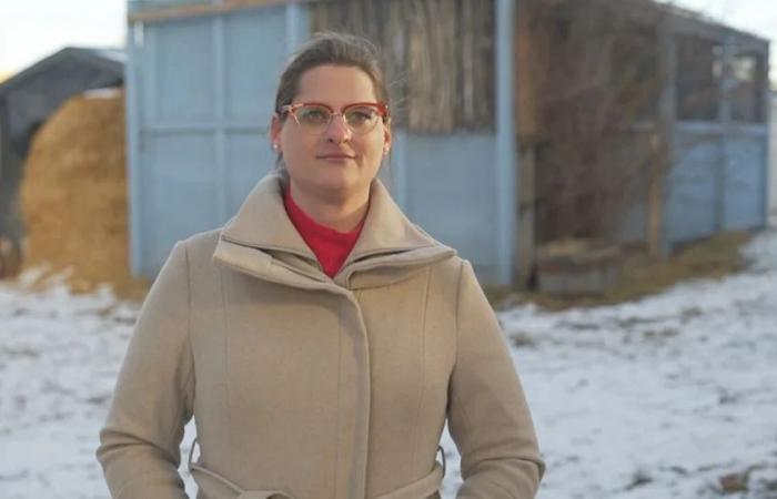 Alberta
      wildlife
      hospital
      says
      animal
      intake
      on
      the
      rise,
      'interactions
      with
      people'
      largely
      to
      blame