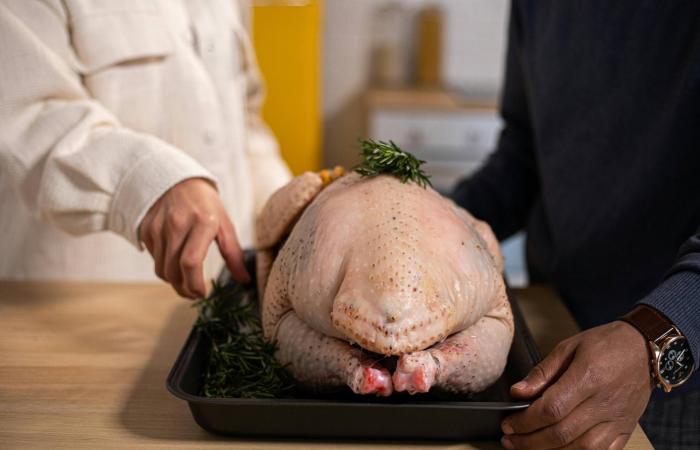 الكالسيوم
      أم
      فيتامين
      د:
      أيهما
      أفضل
      لصحة
      العظام؟