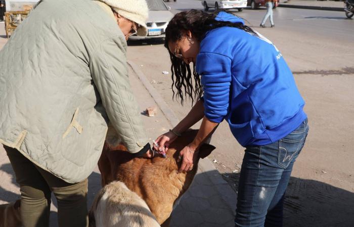 إسقاط
      عضوية
      الزبيدي
      في
      «مجلس
      القيادة»
      لارتكابه
      «الخيانة
      العظمى»