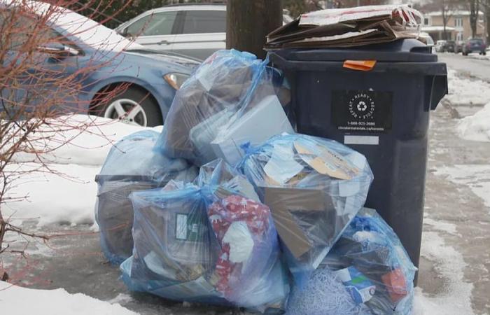 Recycling
      company
      CEO
      blames
      timing
      of
      rollout
      for
      rocky
      start
      to
      new
      collection
      program