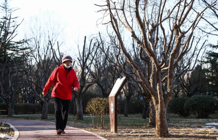 بين
      عصير
      الشمندر
      صباحاً
      والزنجبيل
      مع
      وجباتك...
      5
      نصائح
      غذائية
      لتعزيز
      صحتك