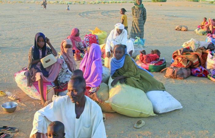 تصعيد
      الصراع
      بين
      الرئاسة
      الجزائرية
      والمعارضة
      الإسلامية