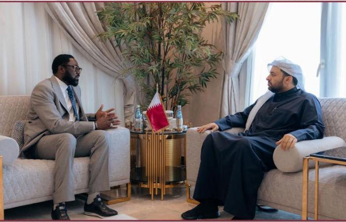 وزير الدولة بوزارة الخارجية يجتمع مع الممثل الخاص للاتحاد الأفريقي لمنطقة مالي والساحل