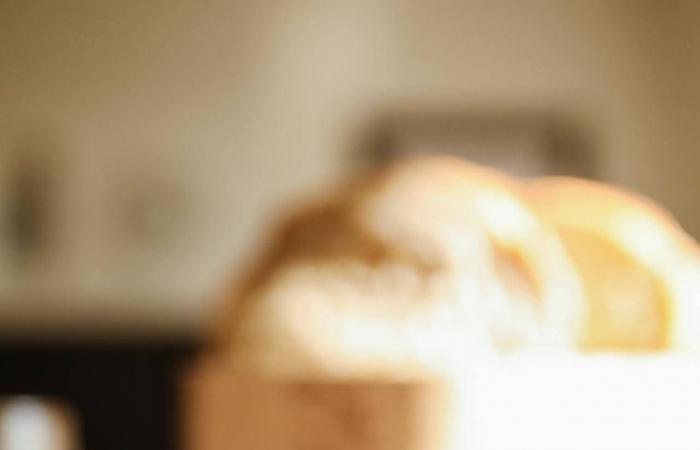 الأفوكادو
      أم
      زبدة
      الفول
      السوداني
      على
      التوست...
      أيهما
      أفضل
      للدهون
      الصحية
      والبروتين؟