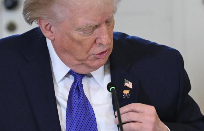 "ترامب السعيد".. رئيس أمريكا يفسر ارتداء دبوس يحمل صورته خلال لقاء مسؤولي شركات النفط (فيديو)