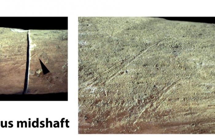 في إفريقيا.. أقدم محرقة جنائزية تكشف عن امرأة غامضة عاشت قبل 9500 عام