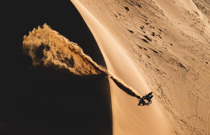 ألغواسيل:
      لا
      أريد
      الدخول
      في
      ذمم
      الحكام
      حول
      صحة
      الطرد