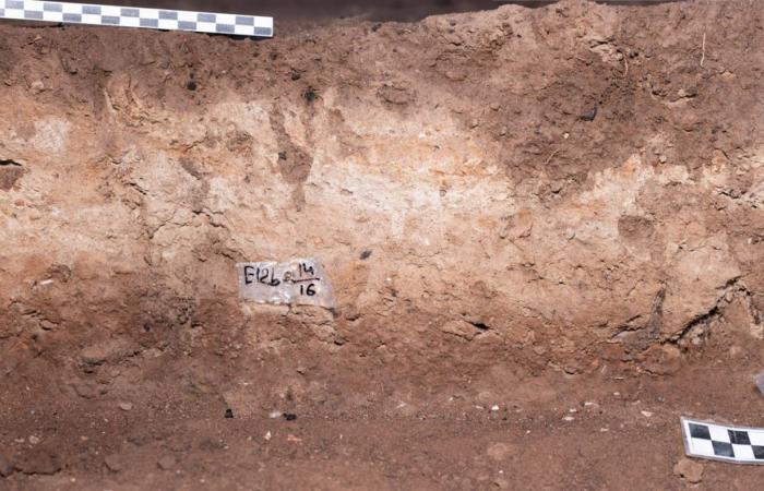 في إفريقيا.. أقدم محرقة جنائزية تكشف عن امرأة غامضة عاشت قبل 9500 عام