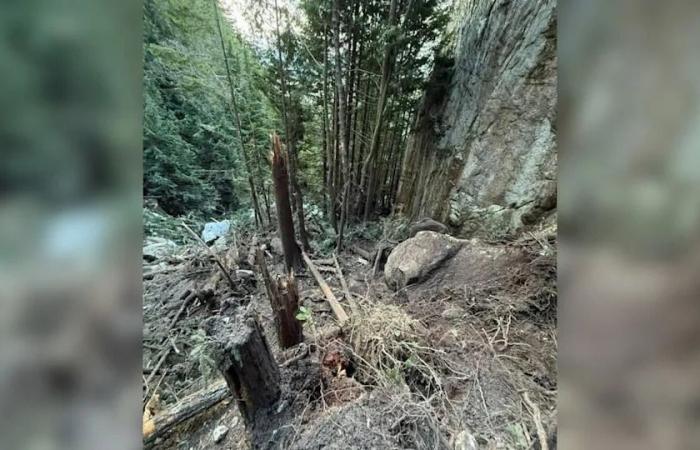 Two
      rockfall
      events
      sent
      boulders
      crashing
      onto
      popular
      B.C.
      hiking
      trail