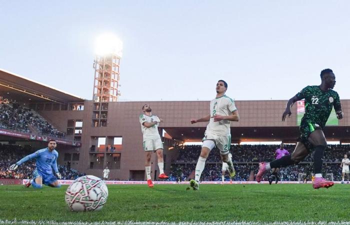 نيجيريا تنهي مشوار الجزائر في كأس أمم إفريقيا وتصطدم بالمغرب في نصف النهائي