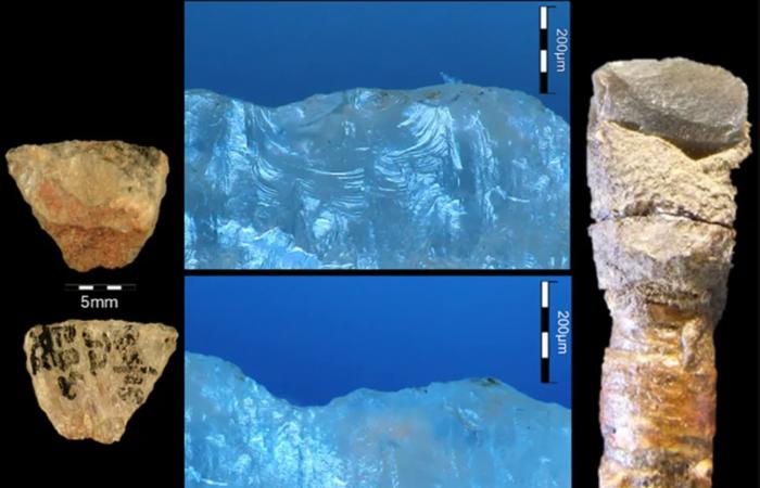 عمرها 60 ألف عام.. اكتشاف أقدم سهام مسمومة لصيد الحيوانات