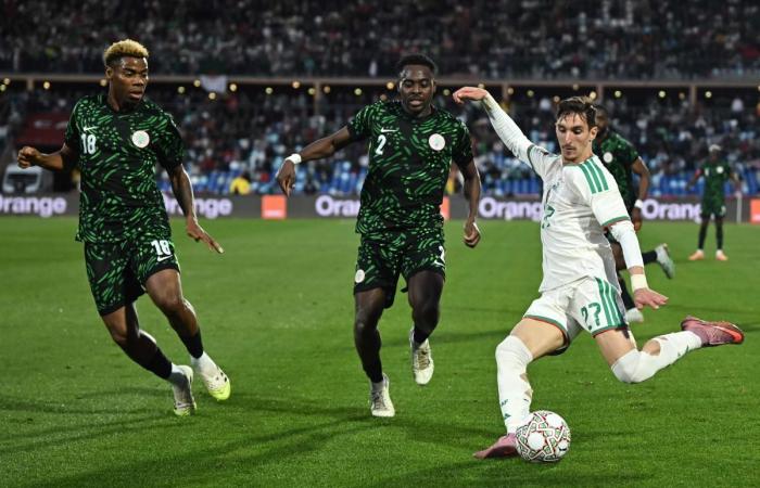 نيجيريا تنهي مشوار الجزائر في كأس أمم إفريقيا وتصطدم بالمغرب في نصف النهائي