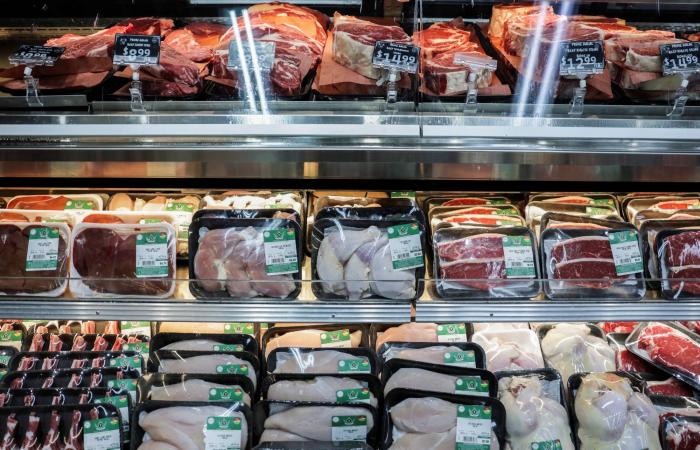 دراسة:
      قلة
      النوم
      تستنزف
      صحة
      الدماغ
      وتقصّر
      العمر