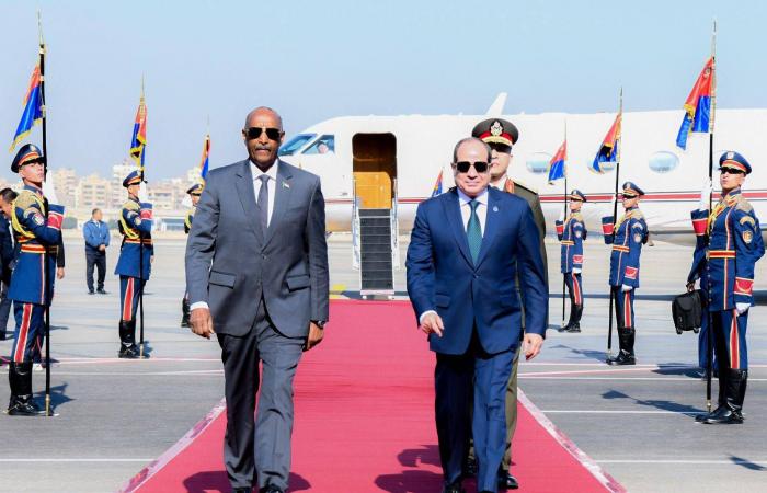 مصر
      تؤكد
      «دعمها
      الثابت»
      لوحدة
      السودان
      وسيادته