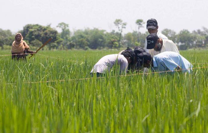 طرق
      طبيعية
      لتحسين
      إنتاجية
      المحاصيل
      وتجنب
      أضرار
      المبيدات
      الكيميائية