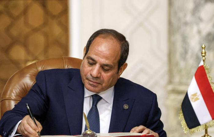 من بينهم سامح شكري.. السيسي يعين 28 عضوا بمجلس النواب إليكم الأسماء